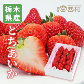 【予約商品】いちご とちあいか お祝い フルーツ ギフト 果物 詰め合わせ 高級フルーツ 渋谷西村 産地厳選 送料無料 お供え 御供 プレゼント 内祝 誕生日 お見舞い 高級 贈答 贈り物 引越祝 退院祝 苺 志 選べる容量 イチゴ 箱 熨斗対応 栃木 お中元
