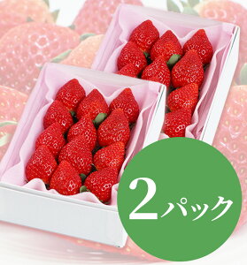 y\tz Ƃ j t[c Mtg ʕ lߍ킹 t[c aJ YnI   䋟 v[g j a    蕨 z