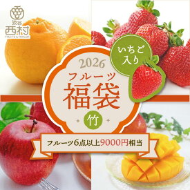 渋谷西村オリジナル フルーツ福袋 竹 いちご確定 お祝い フルーツ ギフト 果物 詰め合わせ 高級フルーツ 産地厳選 送料無料 フルーツギフト お供え プレゼント 内祝 誕生日 お見舞い 贈答 贈り物 引越祝 退院祝 記念日 期間限定 旬 早割 お中元