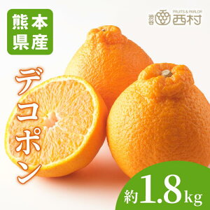 fR| 6 1.8kg j t[c Mtg ʕ lߍ킹 t[c aJ YnI  t[cMtg  䋟 v[g j a  Վ   