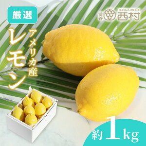 レモン 約1kg お祝い フルーツ ギフト 果物 詰め合わせ 高級フルーツ 渋谷西村 産地厳選 送料無料 フルーツギフト お供え 御供 プレゼント 内祝 誕生日 お見舞い 祭事 高級 贈答 贈り物 引越祝