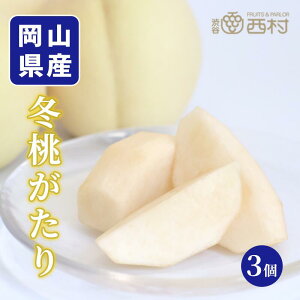 ~ 3Zbg j t[c Mtg ʕ lߍ킹 t[c aJ YnI  t[cMtg  䋟 v[g j a    蕨 