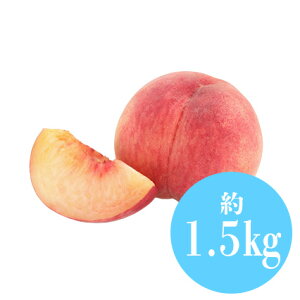  Y R R`Y RY Iׂd 1kg 2kg Gi  aJ t[c Mtg  䋟 v[g j a  Վ ʕ t[c  蕨 p 