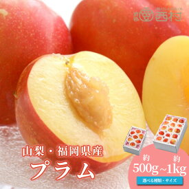 プラム すもも 選べる重さ 500g～1kg お祝い フルーツ ギフト 果物 詰め合わせ 高級フルーツ 渋谷西村 産地厳選 送料無料 フルーツギフト お供え 御供 プレゼント 内祝 誕生日 お見舞い 祭事 高級 贈答 贈り物 引越祝 退院祝 お中元 お歳暮