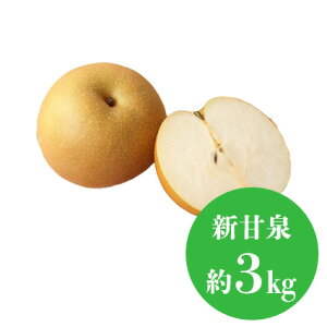 yz]tza Iׂi d 1kg 2kg 3kg j t[c Mtg ʕ lߍ킹 t[c aJ YnI  t[cMtg  䋟 v[g j a