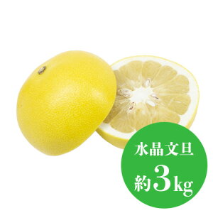 U Iׂi d 1kg 3kgj t[c Mtg ʕ lߍ킹 t[c aJ YnI  t[cMtg  䋟 v[g j a    