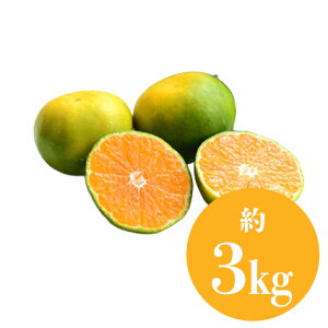 ɑ݂ Iׂi d 1kg 2kg 3kg j ʕ lߍ킹 t[c aJ YnI  t[cMtg  䋟 v[g j a    蕨 