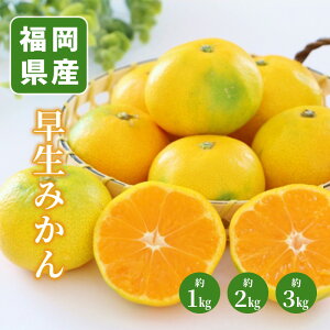 ݂ Iׂi d 1kg 2kg 3kg j ʕ lߍ킹 t[c aJ YnI  t[cMtg  䋟 v[g j a    蕨 