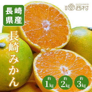 長崎みかん お祝い フルーツ ギフト 果物 詰め合わせ 高級フルーツ 渋谷西村 産地厳選 送料無料 フルーツギフト お供え 御供 プレゼント 内祝 誕生日 お見舞い 祭事 高級 贈答 贈り物 引越祝