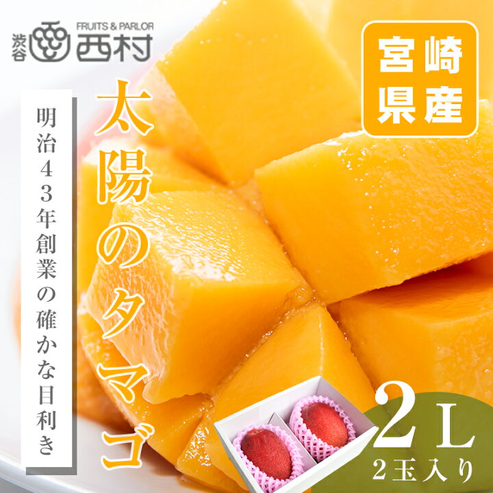 楽天市場】太陽のタマゴ マンゴー 宮崎県産 2L 2玉 お祝い フルーツ 