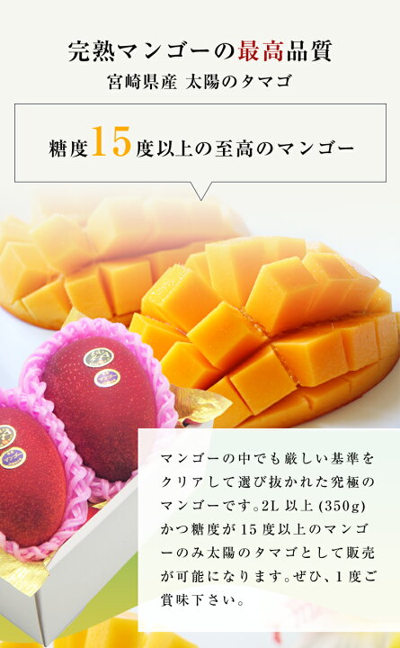 楽天市場】太陽のタマゴ マンゴー 宮崎県産 2L 2玉 お祝い フルーツ 