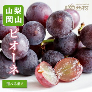 ȂsI[l 500g 1kg Iׂd 1[ j t[c Mtg ʕ lߍ킹 t[c aJ YnI  t[cMtg  䋟 v[g j a 