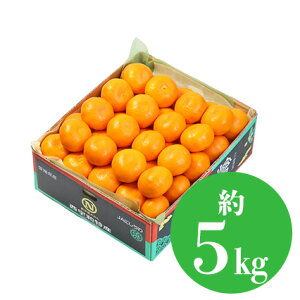 _mP j t[c Mtg ʕ lߍ킹 t[c aJ YnI   䋟 v[g j a    蕨 zj މ@j u