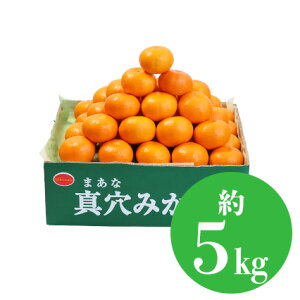 ^݂ j t[c Mtg ʕ lߍ킹 t[c aJ YnI   䋟 v[g j a    蕨 zj މ@j u