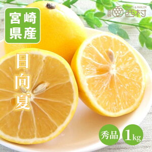  j aJ t[cMtg  䋟 v[g j a  Ղ Վ ʕ t[c  p i zj Cj މ@j yY Iׂe  l