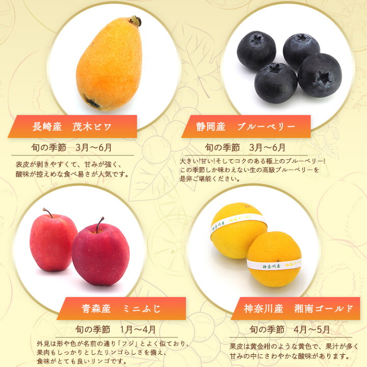 楽天市場 プレミアム プチボックスb 旬のフルーツ詰め合わせギフト プレゼント お供え 果物 フルーツギフト お中元 御中元 贈答用 手土産 快気祝い お見舞い お礼 内祝い 御祝い 高級フルーツ 今月のおすすめ 季節のフルーツ フルーツ箱詰め 厳選 くだもの 渋谷