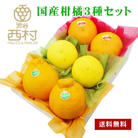 国産柑橘 3種セット 化粧箱入り デコポン2個熊本産 ハウス せとか2個 長崎産 日向夏2個 宮崎産 (贈答品 贈り物 お土産 入学祝い お祝い 内祝い 快気祝い 退院祝い 無地熨斗 お見舞い お供え プレゼント 果物 くだもの 高級フルーツ 詰め合わせ ギフトセット フルーツ)