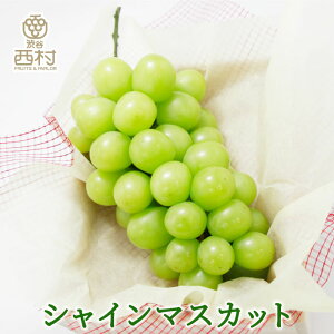 VC}XJbg 600gO j aJ  t[cMtg t[c Mtg  䋟 v[g j a  Ղ Վ ʕ t[c  蕨 p 