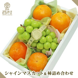 VC}XJbg`lߍ킹 j aJ  t[cMtg t[c Mtg  䋟 v[g j a  Ղ Վ ʕ t[c  蕨 p