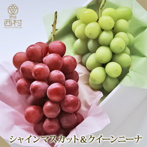 Ԃǂ2FHה׃Zbg VC}XJbg NC[j[i hV̓ j t[c Mtg ʕ lߍ킹 t[c aJ  t[clߍ킹 t[cMtg 