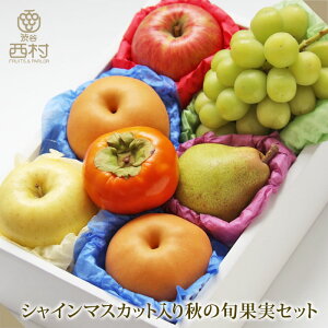 VC}XJbgH̏{ʎZbg Ε t[c Mtg ʕ lߍ킹 t[c aJ   䋟 v[g j a   p 蕨 i 