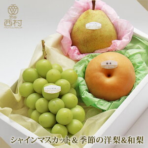 VC}XJbgamlߍ킹02 Ε t[c Mtg ʕ lߍ킹 t[c aJ   䋟 v[g j   p 蕨 i z