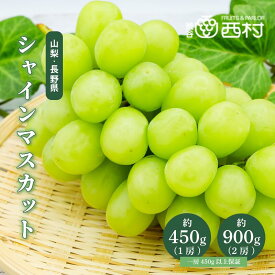 【配送日指定可能＆クーポンでさらに安く！】シャインマスカット 秀品 2房 約0.9kg以上 1房 約450g以上 大房 送料無料 産地厳選 長野 山梨 ぶどう 葡萄 ギフト フルーツ 贈答品 のし対応 果物 高級 皮ごと食べれる 選べる内容量 御見舞い 御歳暮 セール お買い得