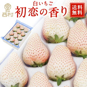 初恋の香り お歳暮 御歳暮 入学祝 ギフト プレゼント 果物 くだもの フルーツ 手土産 快気祝い お見舞い お供え お礼 いちご 苺 イチゴ 白苺 白いちご 白い苺 内祝 誕生日 高級フルーツ ギフ