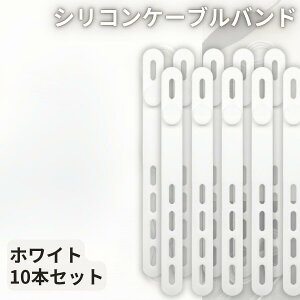 VR P[uoh 20{Zbg 10{Zbg×2F IׂJ[ oh R[hz_[ z ֗ObY R[hNbv  z ܂Ƃ߂ KWFbg[ fXN 