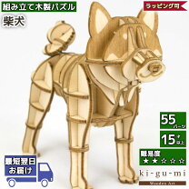 立体パズル 大人 難易度の通販