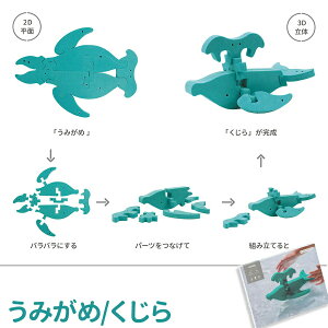 �t���[�e�B�b�N �V���I�[�� Floatic SHAOOL ���݂��� �˂��������� �؂񂬂� ���� ���񂬂� �C�T �E�~�K�� �M�ы� �y���M�� �J�j ���� �����C �������� ���ӂ� �o�X�g�C �c�t���� ���v�[��