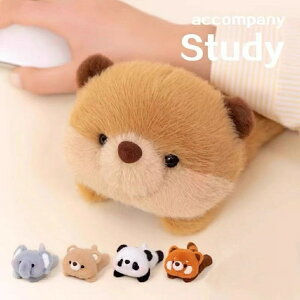 ʂ  xbh ߋ ӂӂ  bT[p_  ETM 키 ̎q j̎q 킢 ʔ Mtg  CeA 2025  ̂ЂTCY ~j