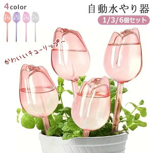 _1/3/6Zbg^  A 킢  `[bv EH[^[fBXyT[  ƒp A  