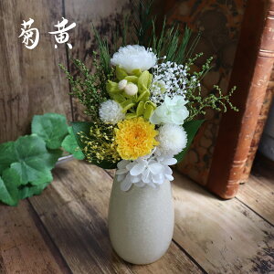 vU[uht[  ԊȂ r ~  ~j dp d   u Ή vȂ  uU[uht[ _ ~ ~ ފ 49  䋟 