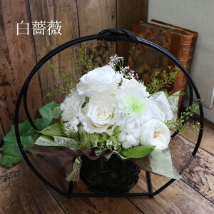  j a vU[uht[ AW    v[g    ~   j Ӓ J[l[V J[ e ft@ tBrLA JX~