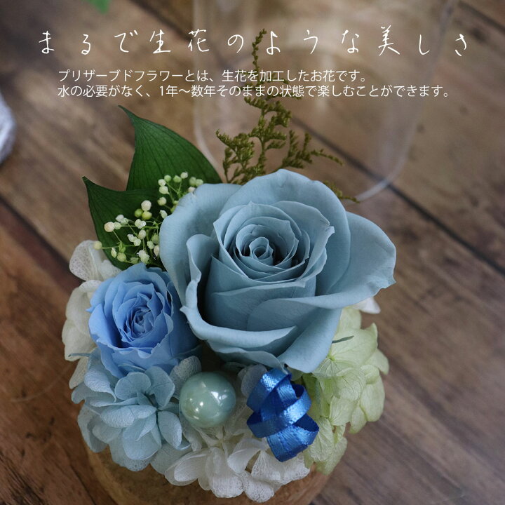 楽天市場】誕生日 退職祝い プリザーブドフラワー ガラスドーム 花  