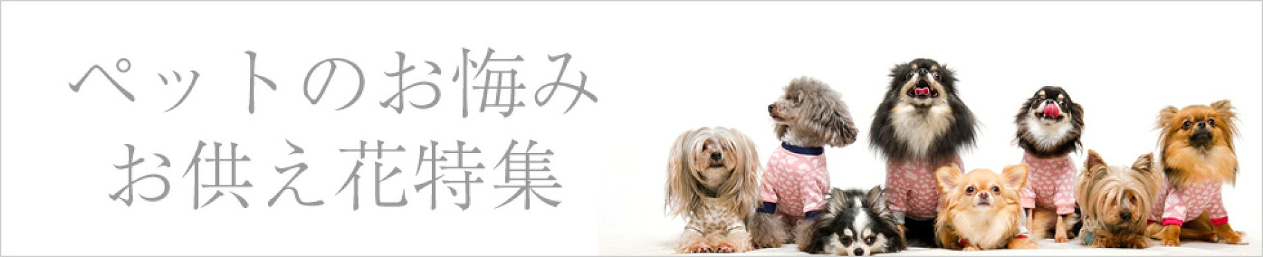 ペットのお供え花