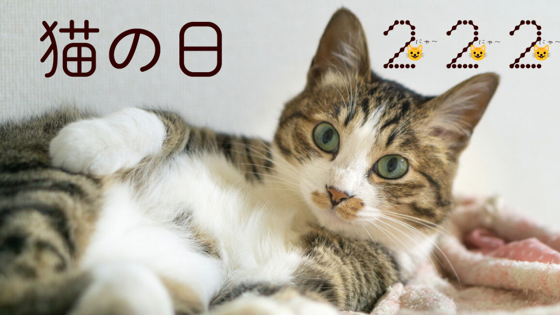 楽天市場 | 花ギフト サンクスブーケ - 2月22日は猫の日!