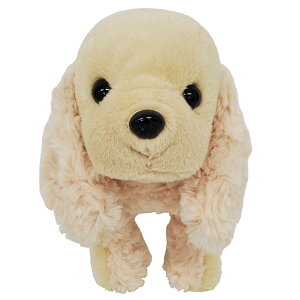 a ̓   vU[uht[ h[ uU[h D ʂ 2025 a v[g ސEj   d   킢 j d Mtg LO 