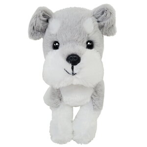 a ̓   vU[uht[ h[ uU[h D ʂ 2025 a v[g ސEj   d   킢 j d Mtg LO 