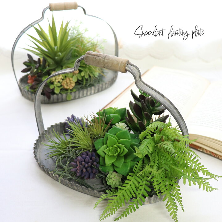 楽天市場】父の日 ギフト 2024 多肉植物 寄せ植え プレート インテリア 