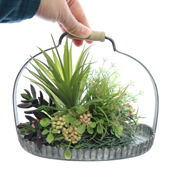 楽天市場】父の日 ギフト 2024 多肉植物 寄せ植え プレート インテリア  
