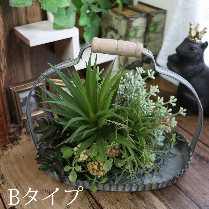 楽天市場】父の日 ギフト 2024 多肉植物 寄せ植え プレート インテリア  