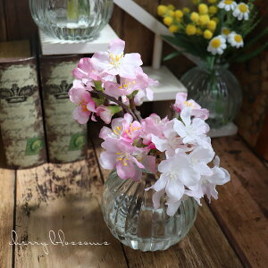 Vzj v[g    AWg  A[eBtBVt[  v[g  KX }WJEH[^[ AW Vzj v[g Fl Vz@ 