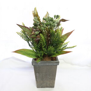 ̓ ϗtA tFCN  a  JXj ސEj 2025   A[eBtBVt[ ϗtA ̓ tFCNO[ a Vzj j v[g Mtg 