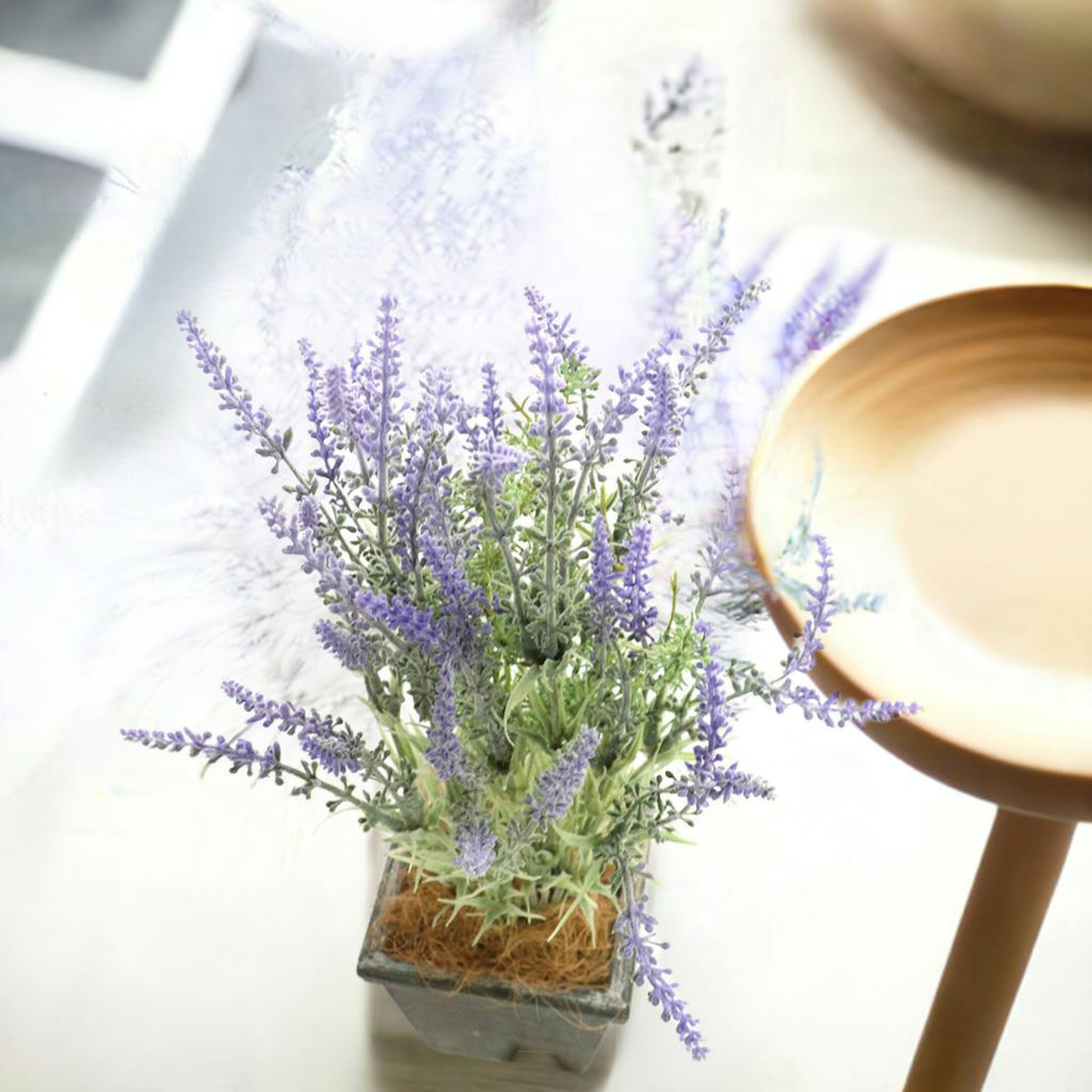 フェイクグリーン　観葉植物