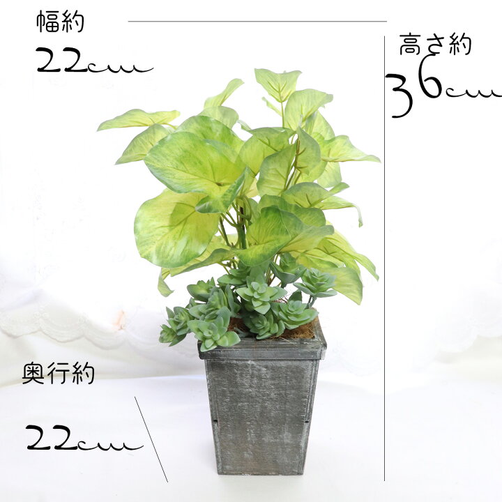 楽天市場】父の日 フェイクグリーン 卓上 ミニ 観葉植物 フェイク 