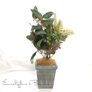 ϗtA tFCN   a  JXj ސEj ̓ 2025 AW  A[eBtBVt[ ϗtA ̓ tFCNO[ a Vzj j v[g 