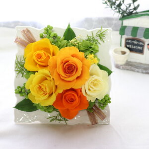 ސEj  jd LO   Ď̂j vU[uht[ v[g e  ސEj   oYj t[Mtg j  Mtg a o s