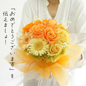 ސEj ԑ  d jd  vU[uht[ ԑ a ސEj މ@j e i v[gvU[uht[ ԑ Mtg ސE  Mtg uĂďԑvd